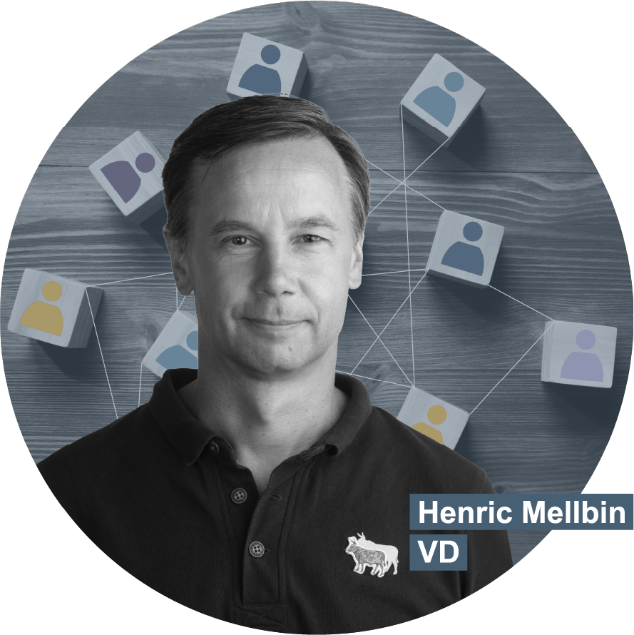 Henric_network
