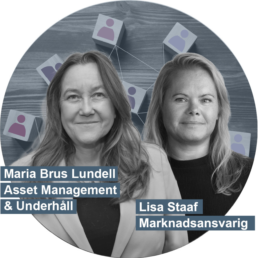 Lisa_Maria_network